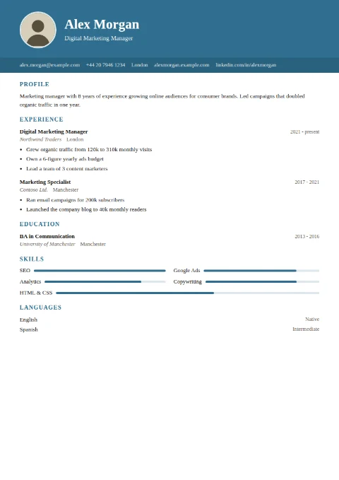 free CV template, editable in the browser