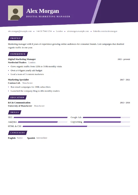 free CV template, editable in the browser