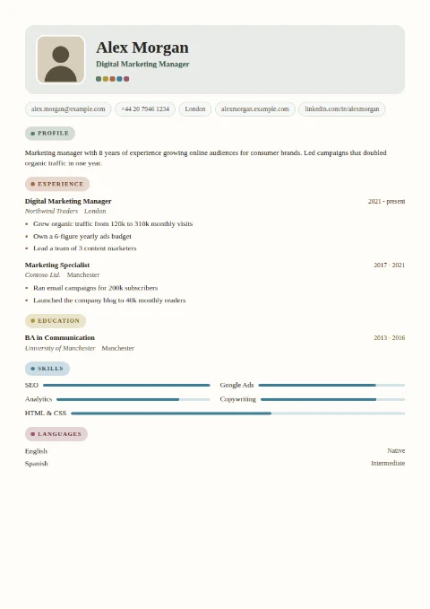 free CV template, editable in the browser