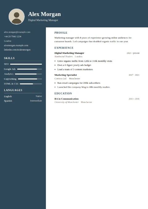 free CV template, editable in the browser
